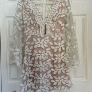 Feather Lace Sheer Dress